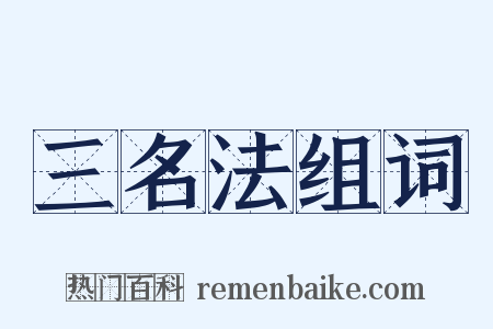 三名法组词是什么意思的图片